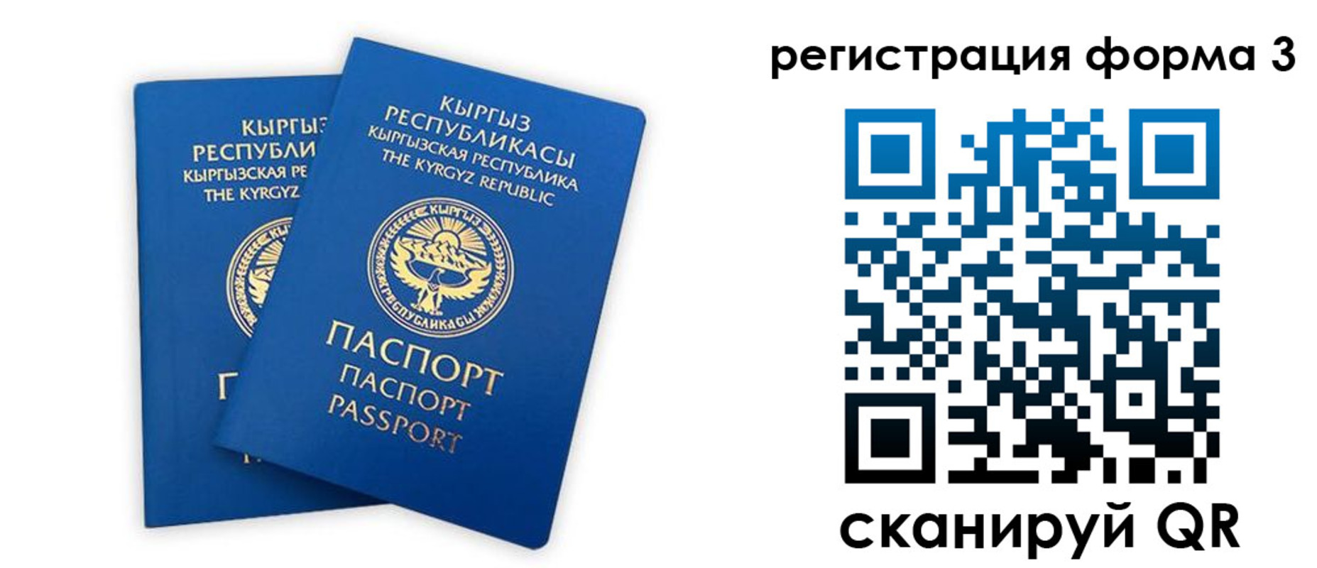 временная регистрация госуслуги в Елизово