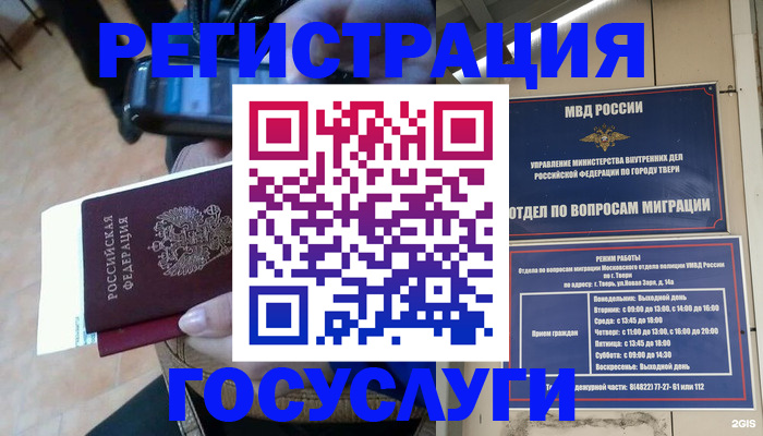 прописка поиск в Елизово